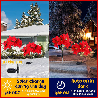 🎄Christmas Waterproof Solar Poinsettia Flowers Lights✨