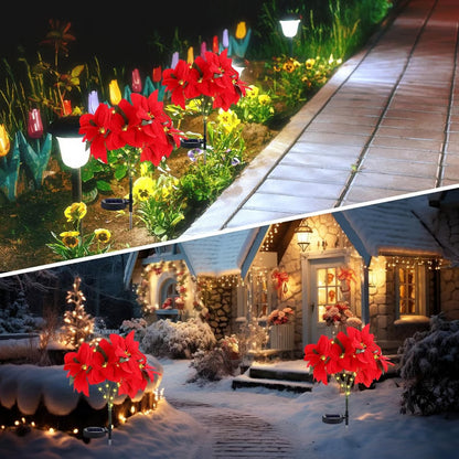 🎄Christmas Waterproof Solar Poinsettia Flowers Lights✨