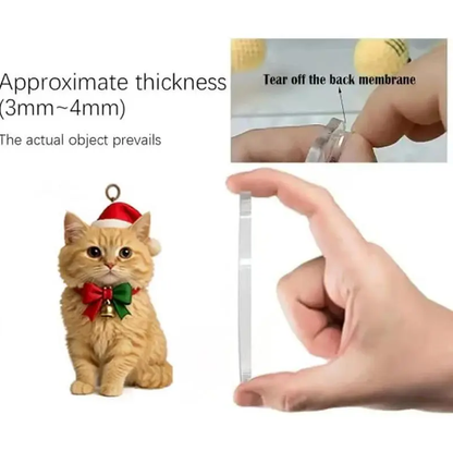 🌲🎁Christmas Gift--Purrfect Christmas – Cat Lovers Advent Calendar 2025🐱